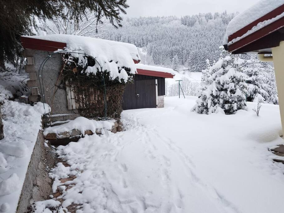 Maison De Montagne Vue Magnifique Ventron Zewnętrze zdjęcie