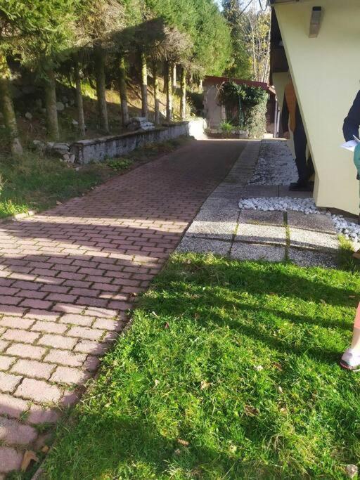Maison De Montagne Vue Magnifique Ventron Zewnętrze zdjęcie