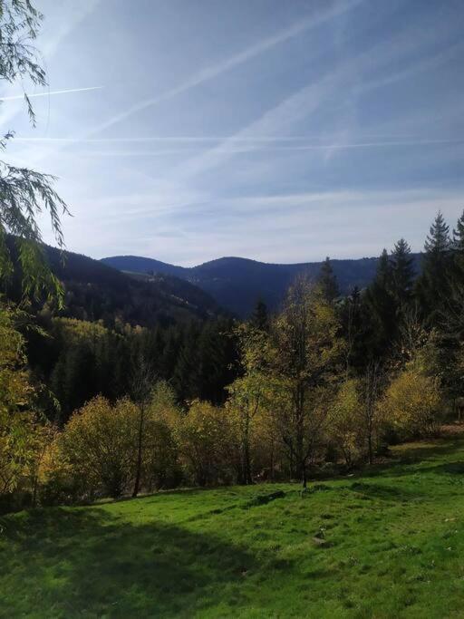 Maison De Montagne Vue Magnifique Ventron Zewnętrze zdjęcie