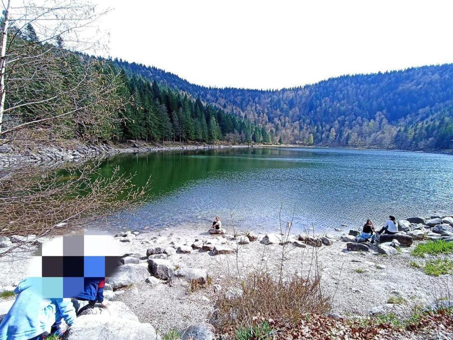Maison De Montagne Vue Magnifique Ventron Zewnętrze zdjęcie