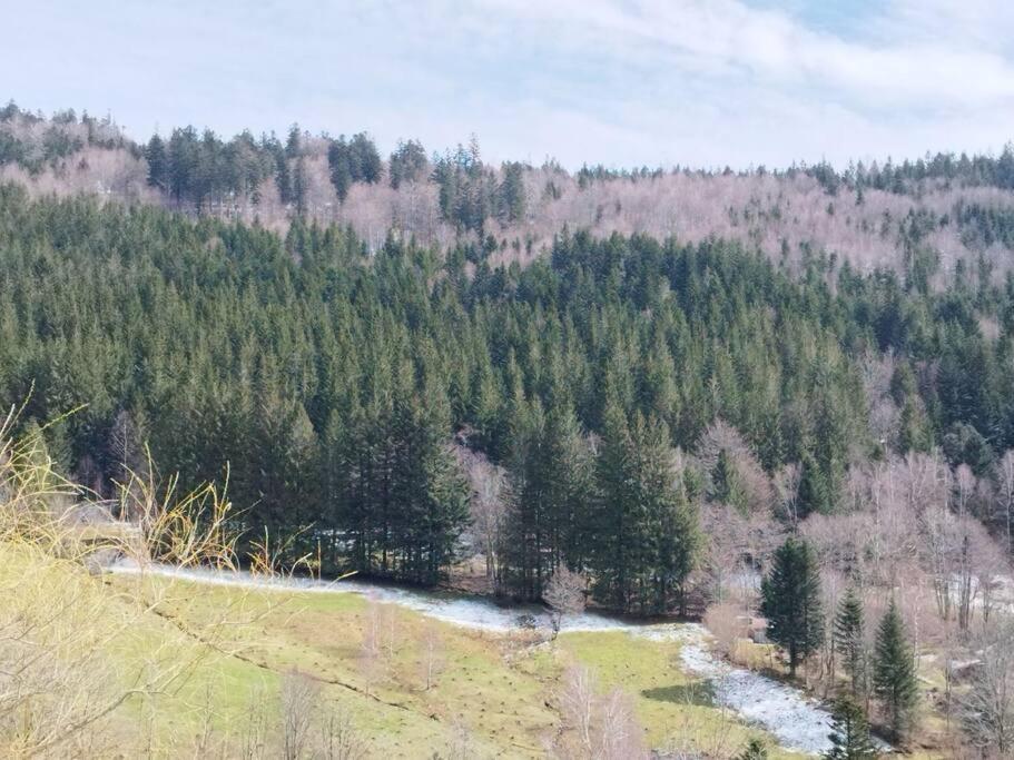 Maison De Montagne Vue Magnifique Ventron Zewnętrze zdjęcie