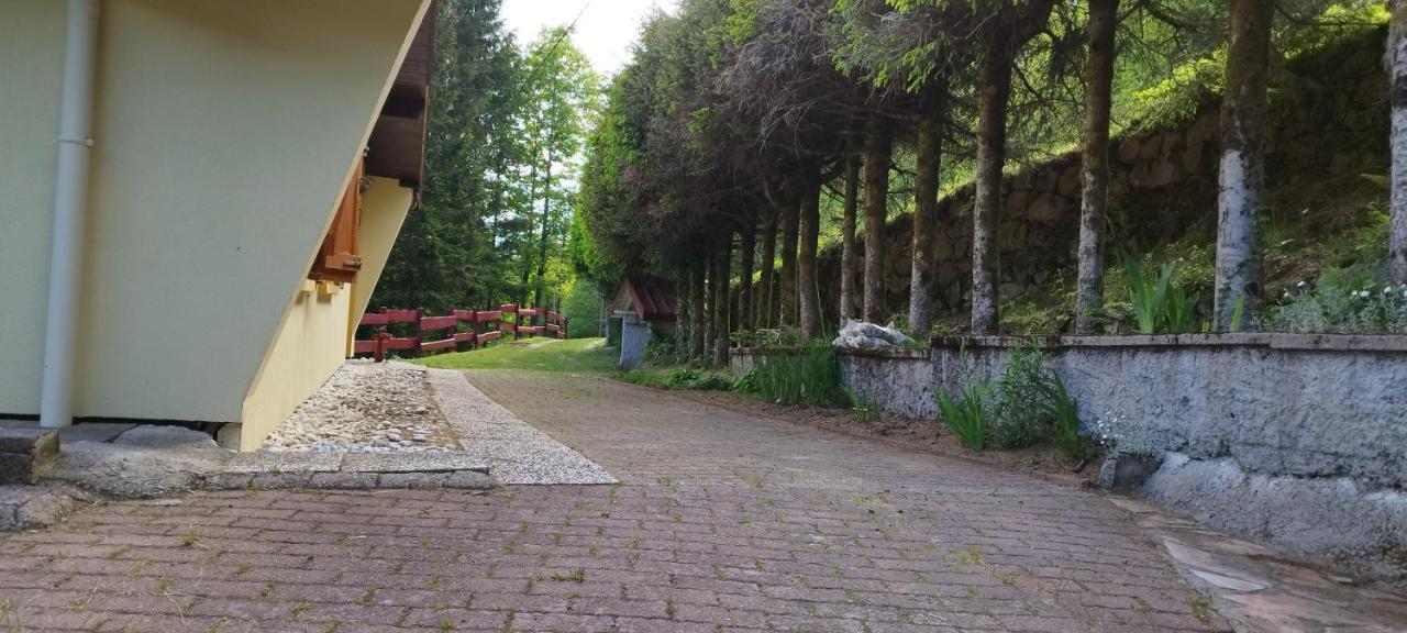 Maison De Montagne Vue Magnifique Ventron Zewnętrze zdjęcie